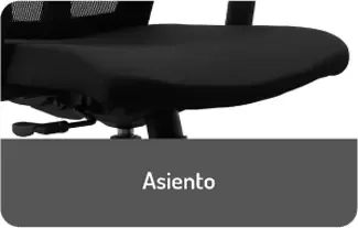 2.asiento.jpg.webp