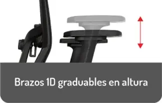 5.brazo-1d.jpg (1).webp
