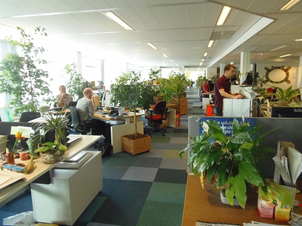 Oficinas-biofilicas-1.jpg