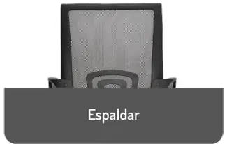 espalda.jpg.webp